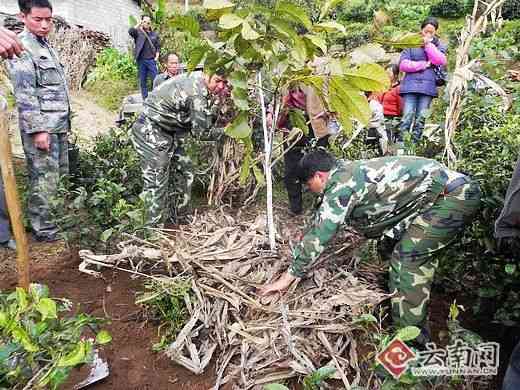 镇安各乡镇人口_村两委协同镇安监办人员开展安全生产检查-吕亭镇狮山村 提(2)