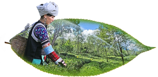 保山市创新股权投资模式 51+49 激发实体经