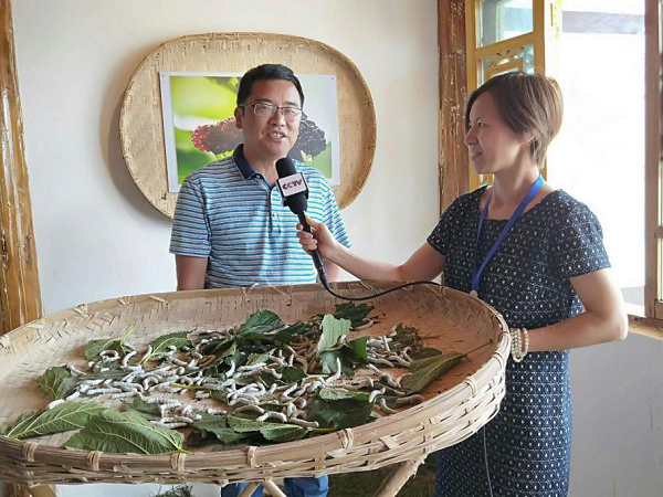云南保山:为百姓增收致富 如火如荼发展乡村旅游 图4