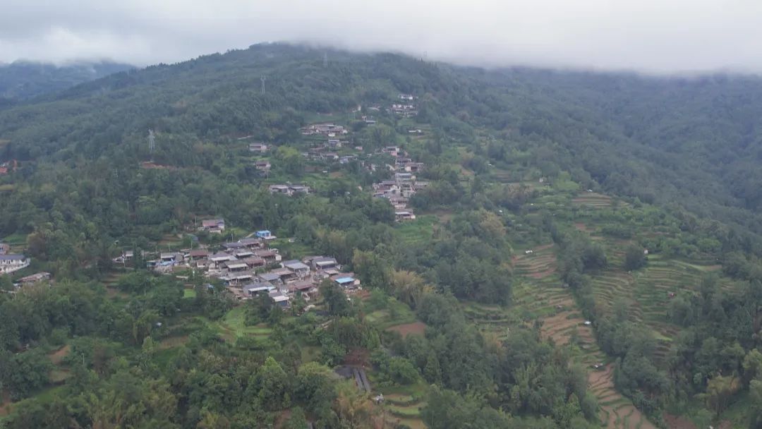 龙陵县龙山镇农业综合服务中心主任杨振晗说道:"玻璃缸是一个传统的